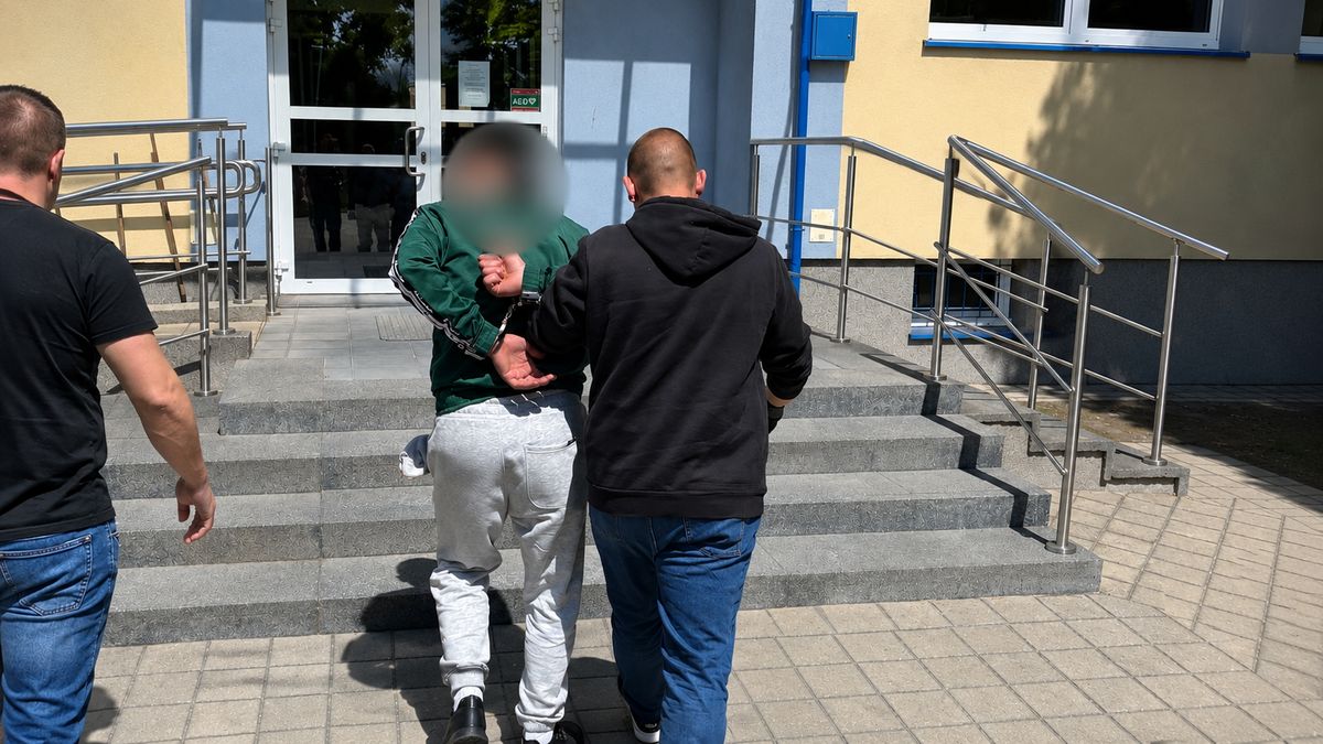 Zatrzymamy ukrywał się w bagnie, Trzcianka