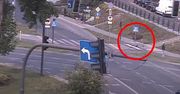Łoś na spacerze w Bydgoszczy. Policja i służby zapewniły mu bezpieczny powrót do lasu