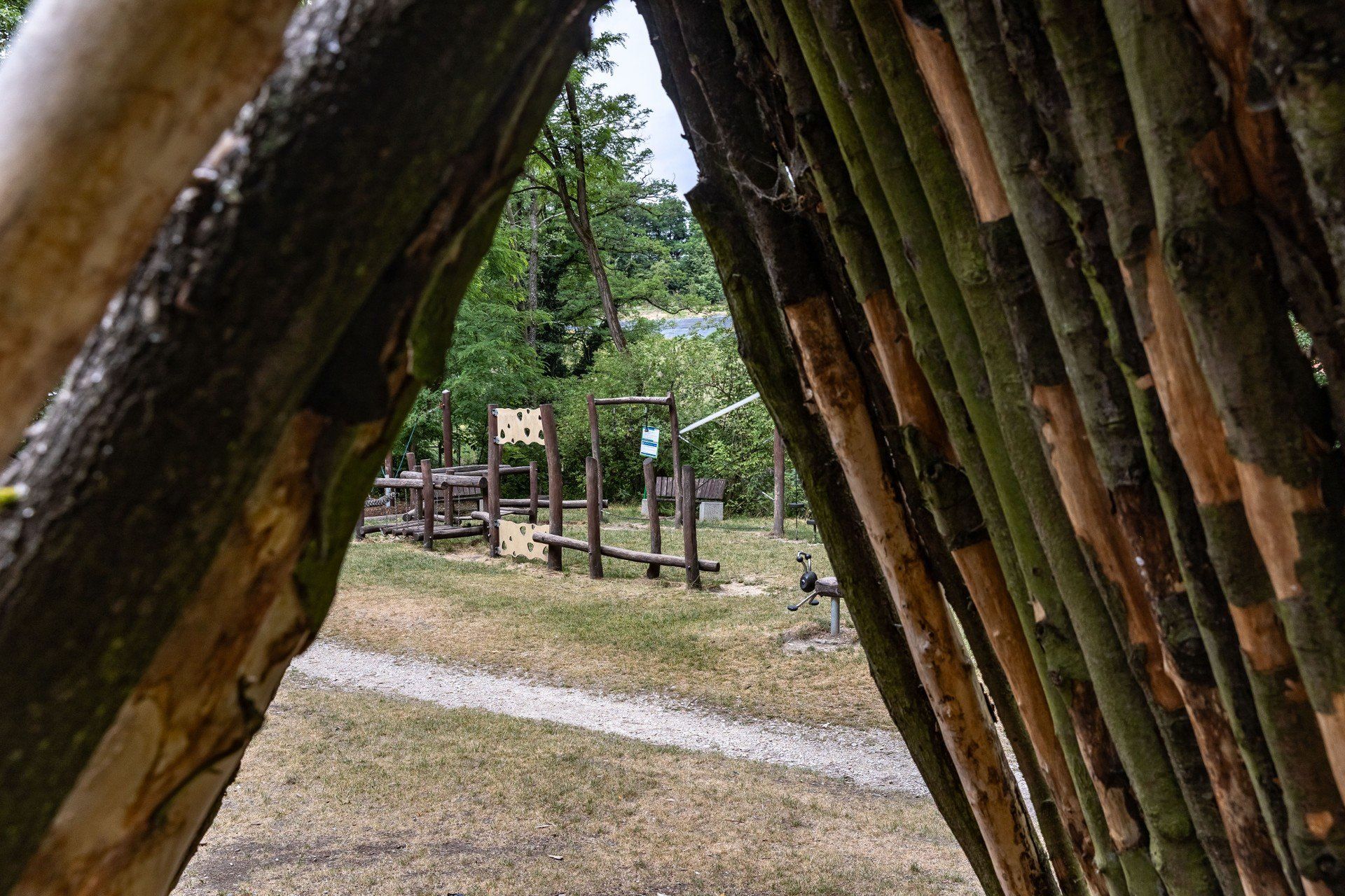 W Lesie Witkowickim na odwiedzających czekają m.in.: ścieżka przyrodnicza, naturalny plac zabaw, polana wypoczynkowa wyposażona w stoły piknikowe