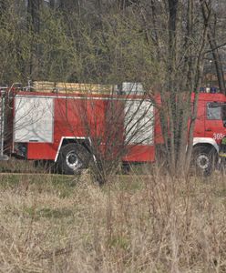 Makabryczne znalezisko na polu. Ustalają, kim jest ofiara