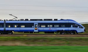Pociąg zmierzał do Warszawy, gdy na torach pojawiły się trzy żubry. Doszło do zderzenia