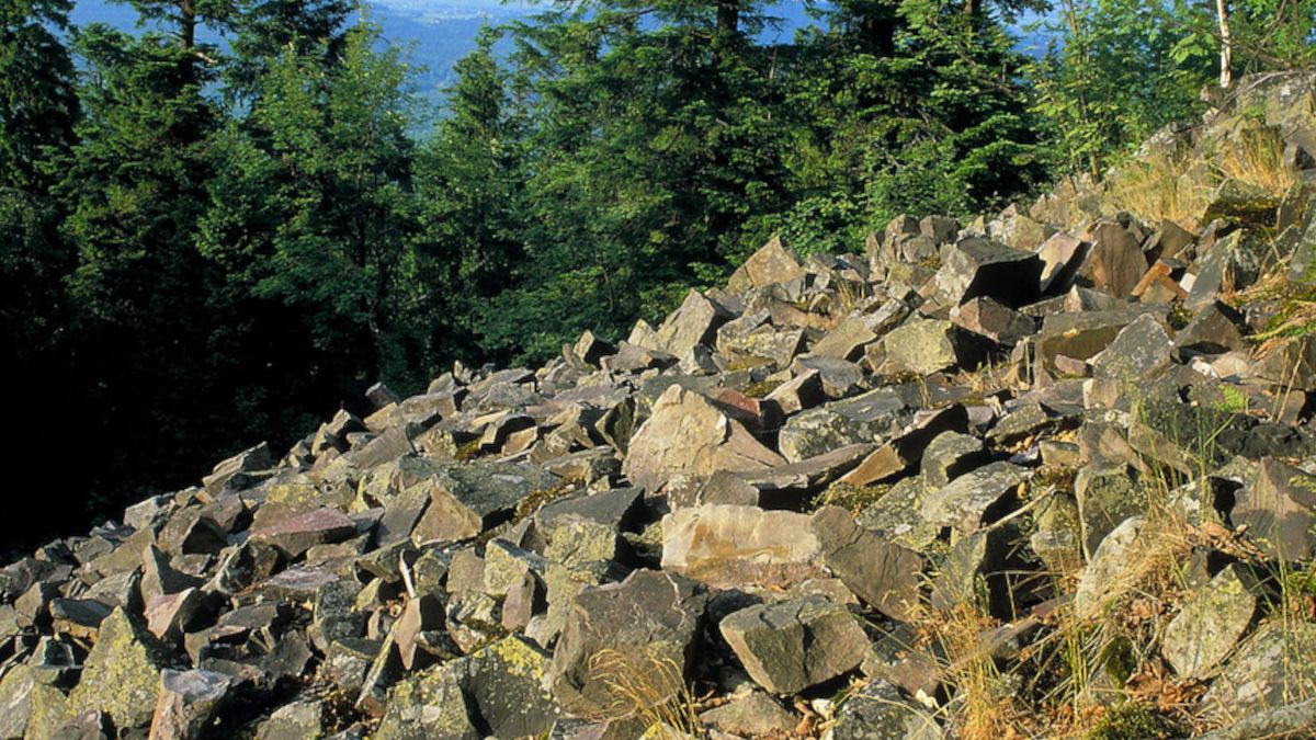 Góry Świętokrzyskie.