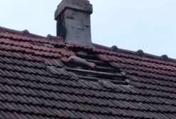 Bolesławiec. Schował się dachu. Liczył, że policjanci go nie znajdą