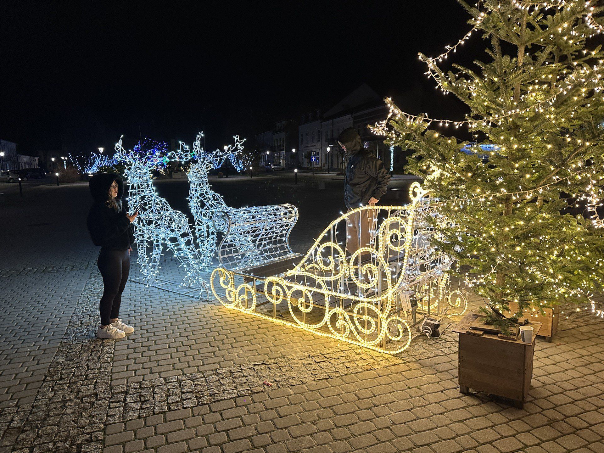 Renifery ciągnące sanie są świetnym miejscem na sesje fotograficzne