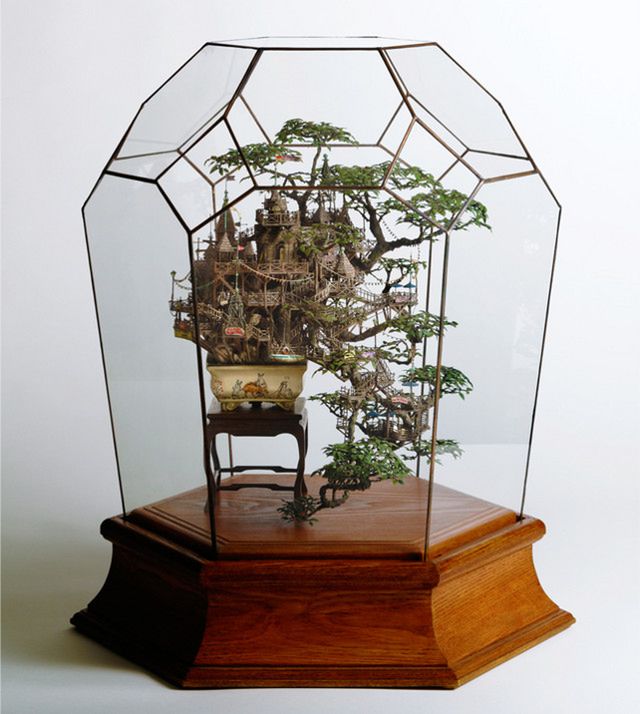Drzewko bonsai jeszcze piękniejsze niż zwykle 2