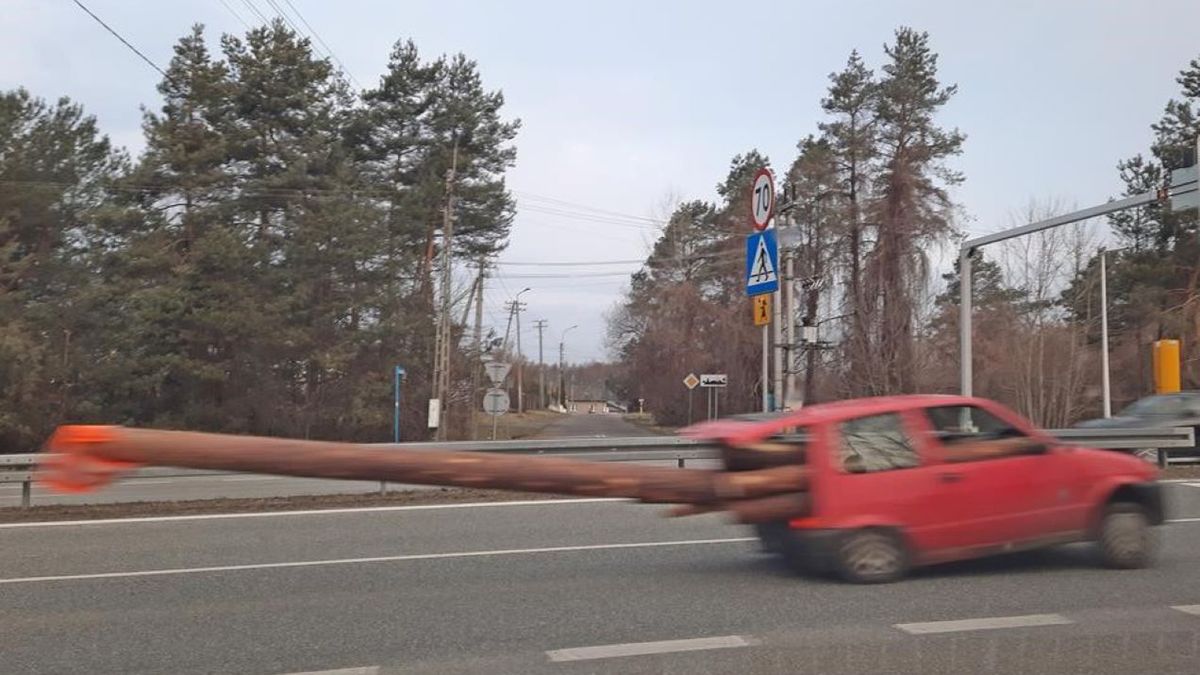 Zdjęcia i wideo lotem błyskawicy obiegły sieć 