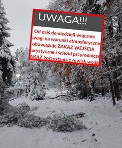 Sypnęło śniegiem. "Konary lecą nam na głowę"