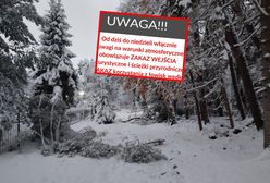 Sypnęło śniegiem. "Konary lecą nam na głowę"