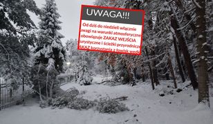 Sypnęło śniegiem. "Konary lecą nam na głowę"