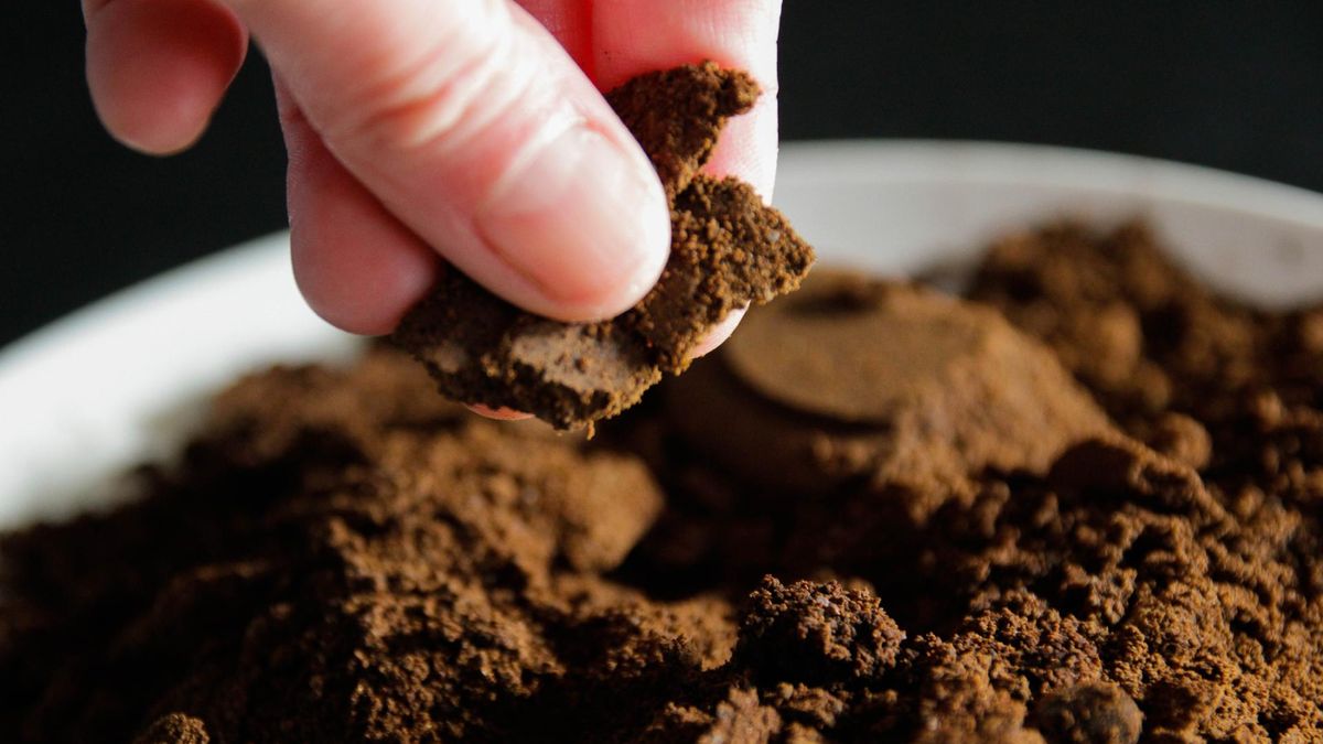 Fusy do kawy można wykorzystać