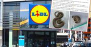 Znalazła węża w selerze. Lidl tłumaczy