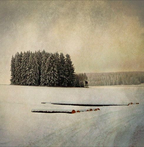 Zimowe inspiracje [galeria] 17