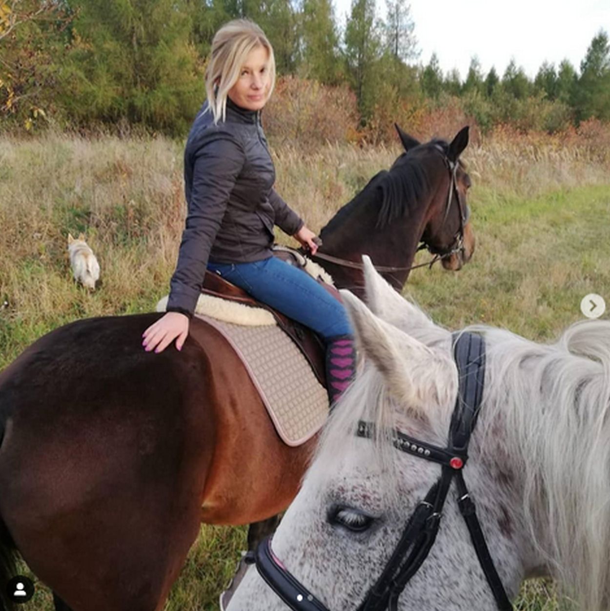Ilona z "Rolnik szuka żony"