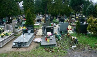 Polski "Manhattan" bezdomnych. Ogrzewana nora za pracę w zsypach