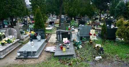 Polski "Manhattan" bezdomnych. Ogrzewana nora za pracę w zsypach