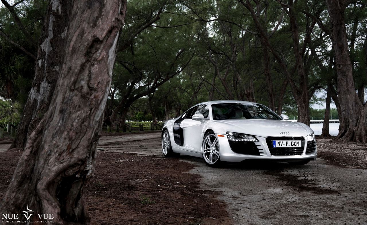 David Nickerson II - Audi R8