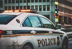 Strzelanina w parku pełnym ludzi w USA. "Padło ponad 30 strzałów"