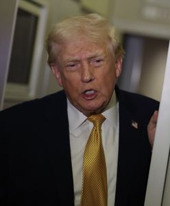 Trump twardo o Grenlandii. "Potrzebujemy tytułu do ziemi"