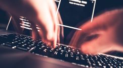 Cybersejf: bankowość online - czego się bać?