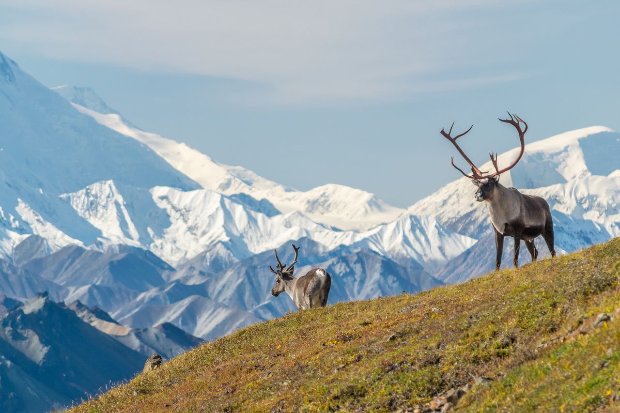 Alaska's eroding permafrost signals urgent global warming threat