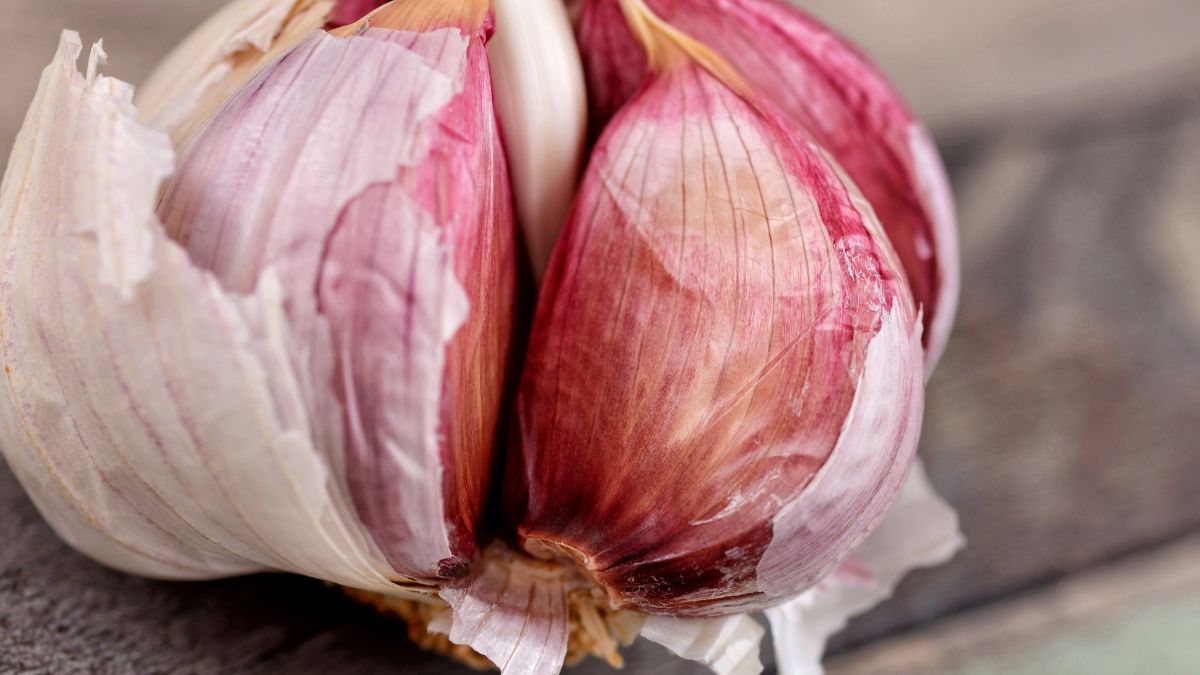 Czosnek to naturalny antybiotyk