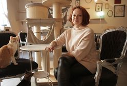 Pomysł na biznes: Kawiarnia z kotami