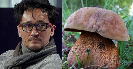 Internauci zakpili z Wiśniewskiego. Wszystko przez Święto Grzyba!