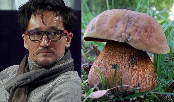 Internauci zakpili z Wiśniewskiego. Wszystko przez Święto Grzyba!