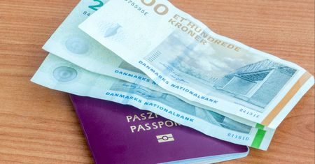 Szukają Polaków do pracy na polu. Płacą prawie 13 tys. zł