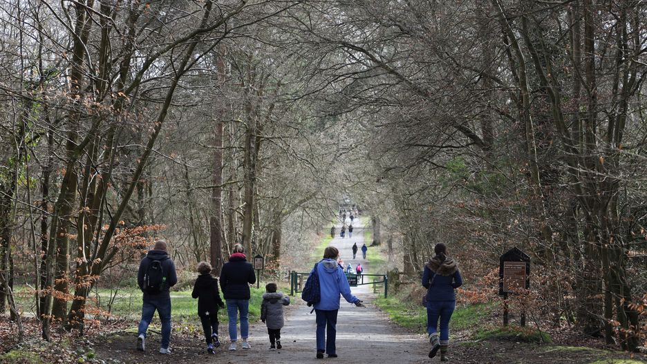 ludzie las spacer koronawirus