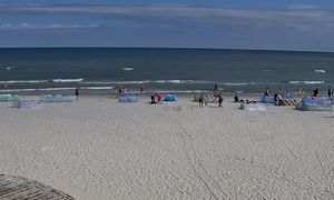 "Morski kanibal" w Bałtyku. Skutki widać na plażach