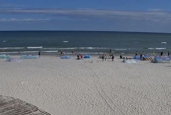 "Morski kanibal" w Bałtyku. Skutki widać na plażach