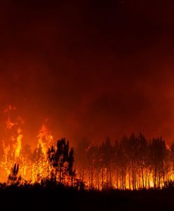 Francja w ogniu. Zdjęcia są przerażające