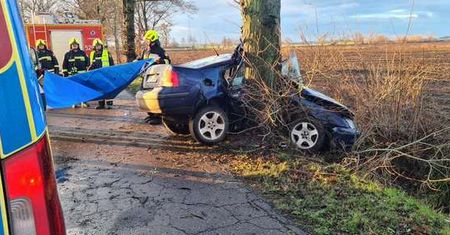 Auto owinęło się na drzewie [Foto-galeria]