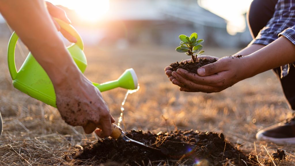 Oglądaj na żywo wystąpienia na scenie poświęconej środowisku.