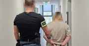 Przywiązali dwa psy do słupa w lesie. Usłyszeli zarzuty. Skandal na Mazowszu