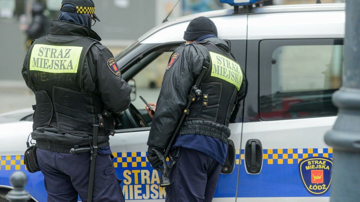 Ruszyły kontrole, kara to nawet 5 tys. zł. Co sprawdza straż miejska?
