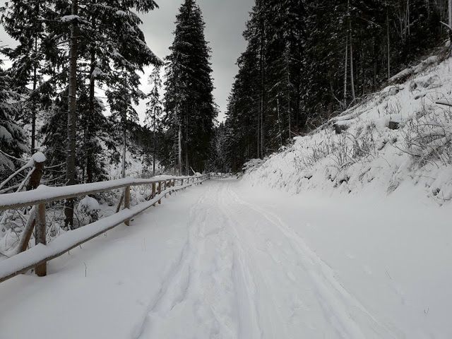 Apel do narciarzy i skiturowców