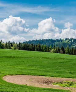 Ostrzeżenie IMGW. Uwaga na silny wiatr. Mogą pojawić się utrudnienia