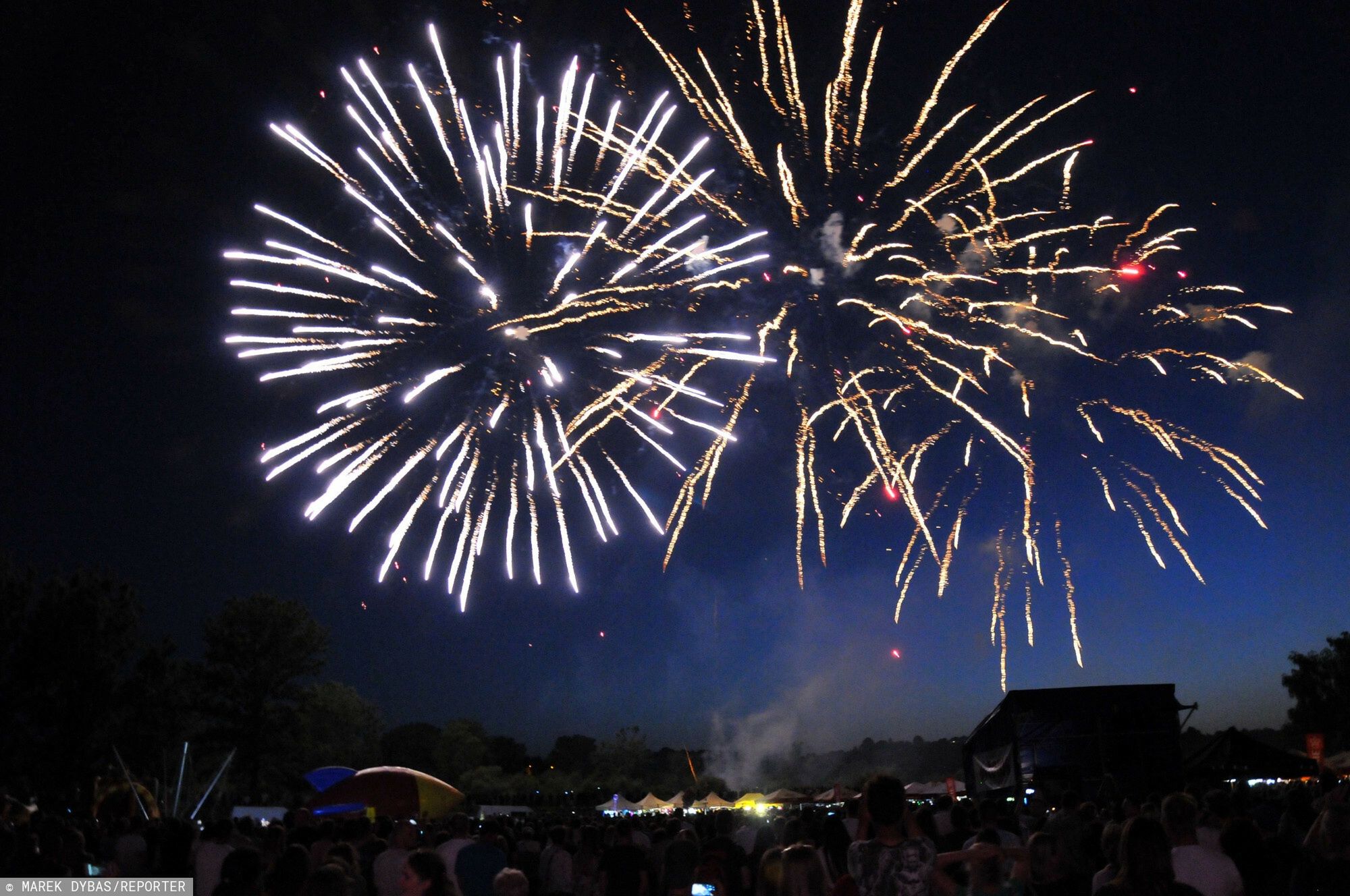 Pudelek przypomina: NIE STRZELAM W SYLWESTRA!