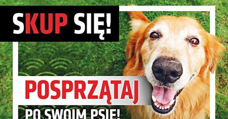 „Sprzątaj po swoim psie” – kontynuacja działań edukacyjnych