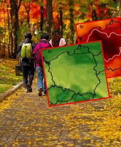 Co przyniesie początek listopada? Prognozy długoterminowe zaskakują