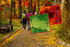 Co przyniesie początek listopada? Prognozy długoterminowe zaskakują