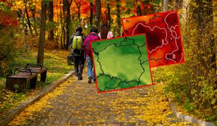 Co przyniesie początek listopada? Prognozy długoterminowe zaskakują
