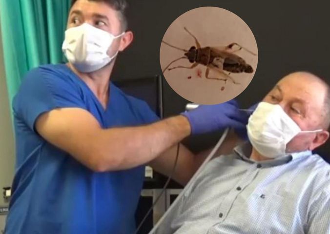 Recep Korkmaz i dr Muhammet Yeniay podczas wyciągania muchy