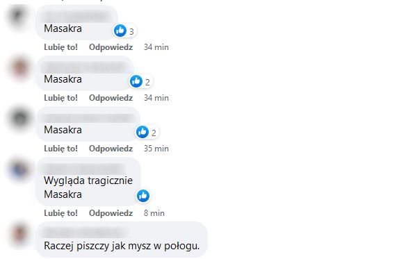 Margaret skrytykowana po występie w Sopocie