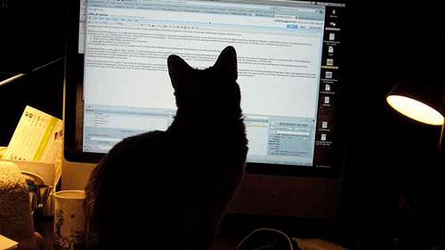 Ufamy w to, co czytamy w Sieci - raport European Trusted Brands 1