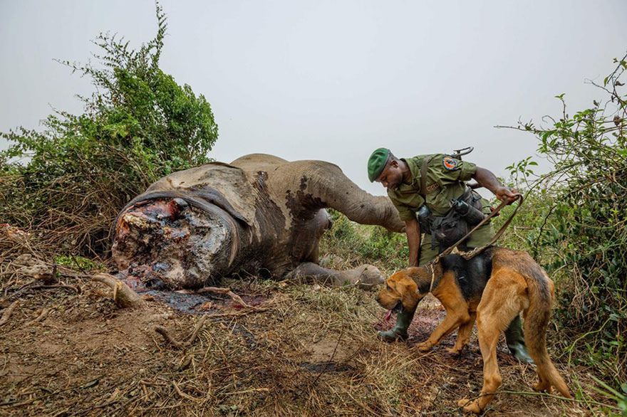 Oto najlepsze fotografie 2016 roku według magazynu National Geographic 51