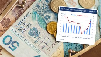 Coś niepokojącego dzieje się w sektorze bankowym. "Kurczy się" [OPINIA]