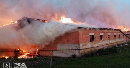 Atak dronów na ukraińską farmę. Setki zwierząt zginęło